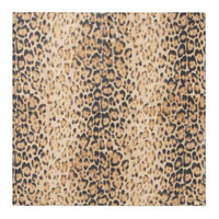 CELINE Cotton Knit Scarves Men's Brown