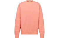 DIOR Oblique Striped Crewneck Sweatshirt