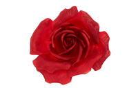 SAINT LAURENT Brooch Women's Red