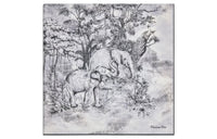 DIOR Shawls Women's Gray