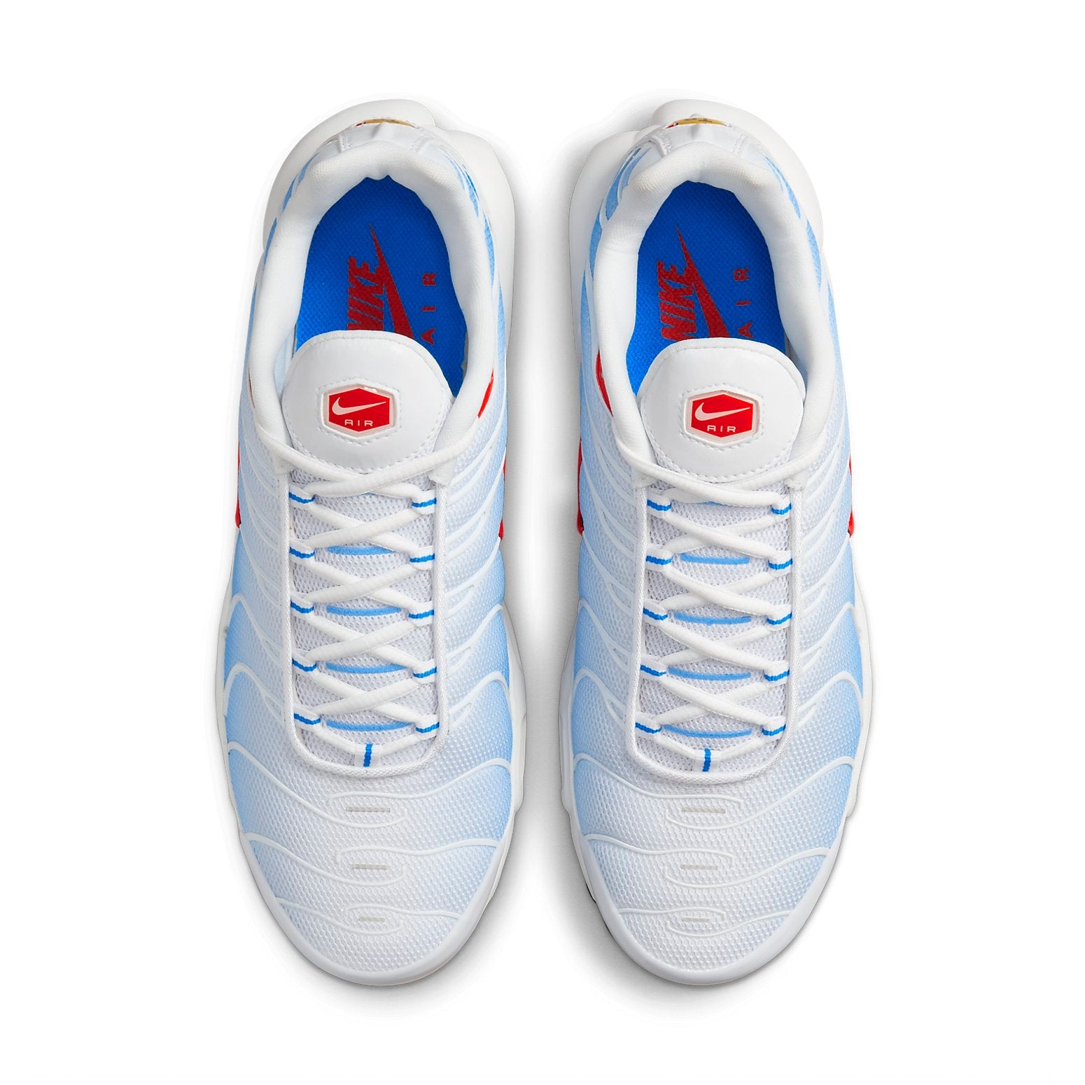 Nike Air Max Plus 'Tide' 604133-423