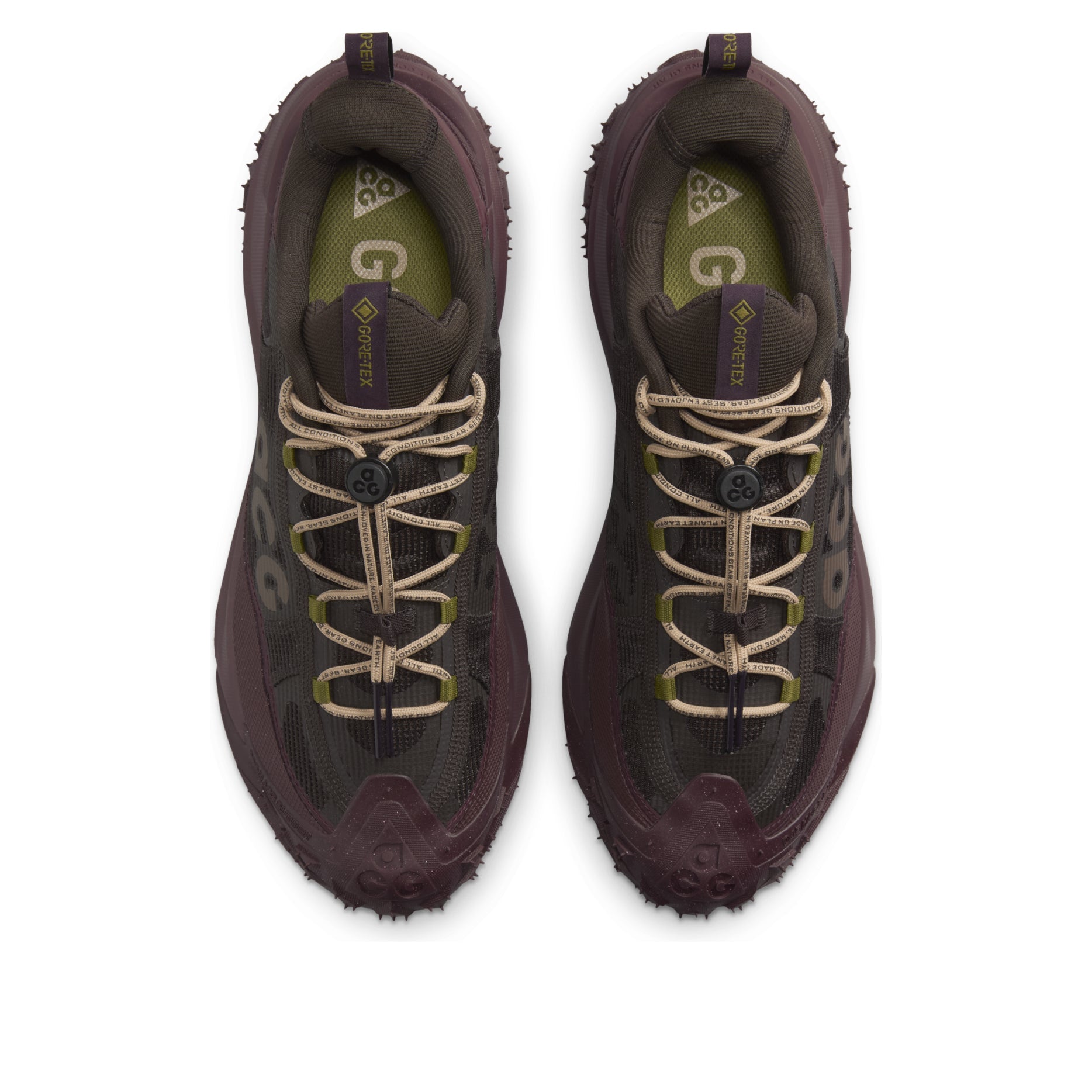 Nike ACG Mountain Fly 2 Low GTX 'Velvet Brown Burgundy' HF6245-200