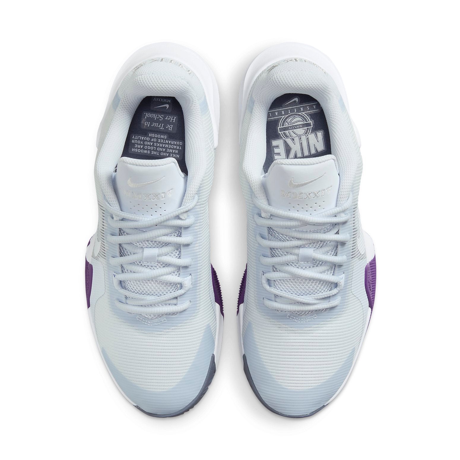 (WMNS) Nike Air Max Impact 4 'Football Grey Barely Grape' FV1699-010