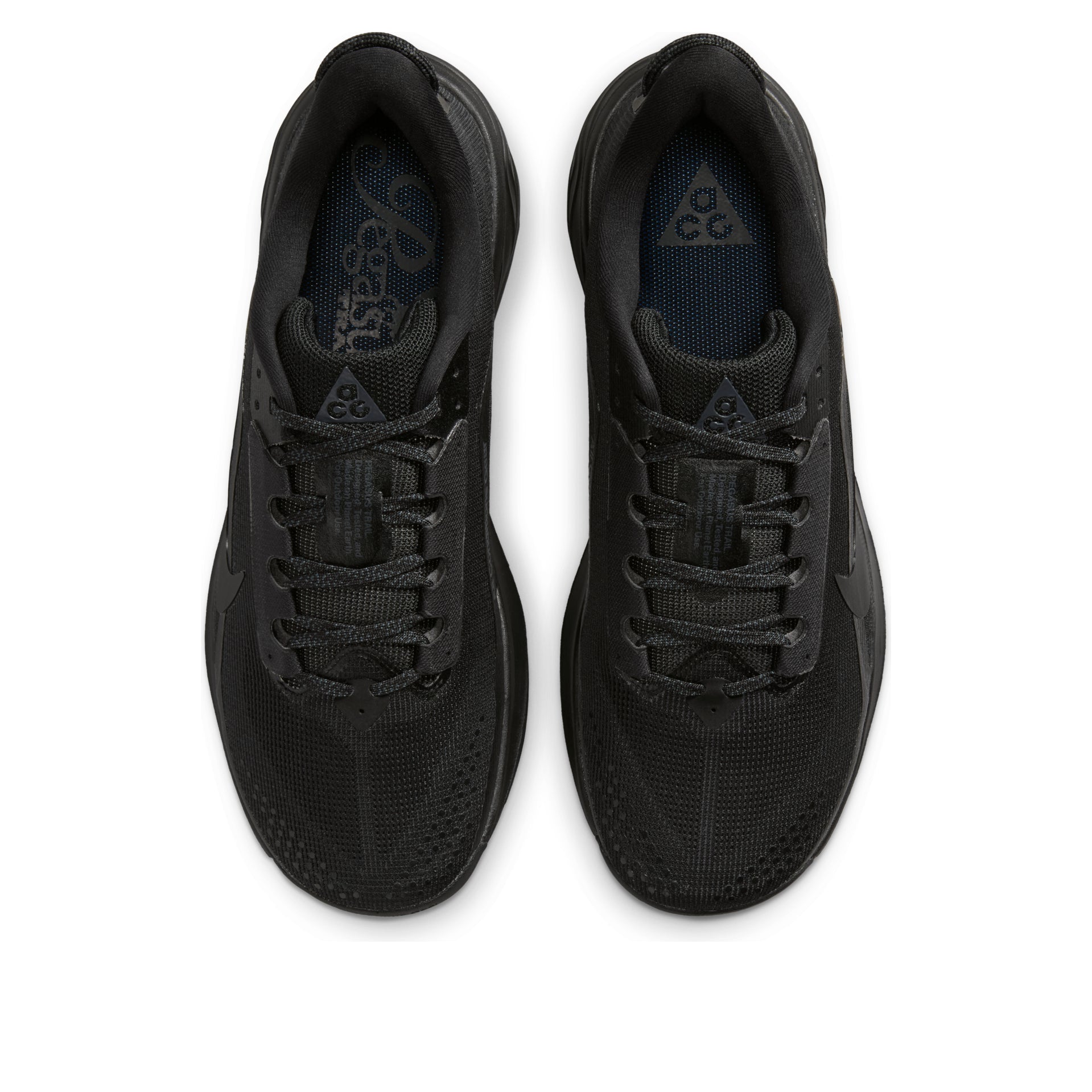 Nike ACG Pegasus Trail 'Black Anthracite' HV8116-002