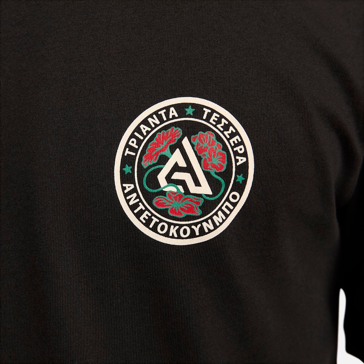 Nike Dri-FIT Giannis T-shirt 'Black' FJ2316-010