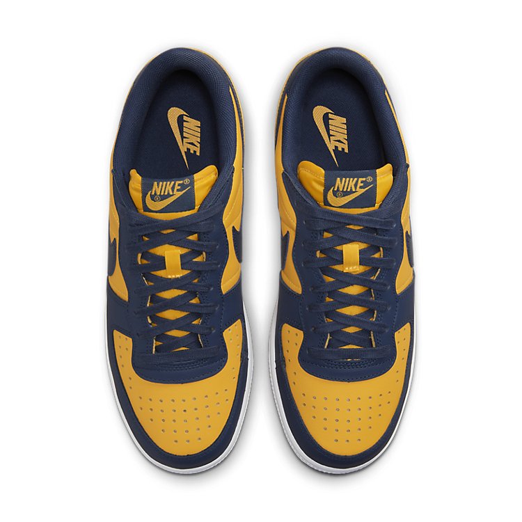 Nike Terminator Low 'Michigan' FJ4206-700