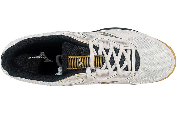 Mizuno Sky Blaster 'SlipResistant Durable Low Badminton' 71GA234601