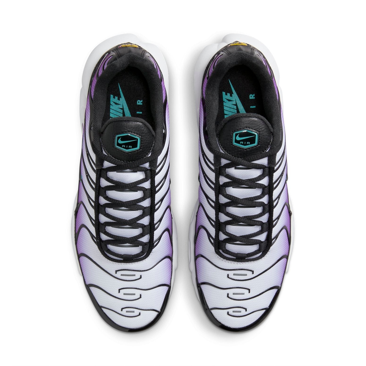 Nike Air Max Plus 'Reverse Grape' FQ2415-500