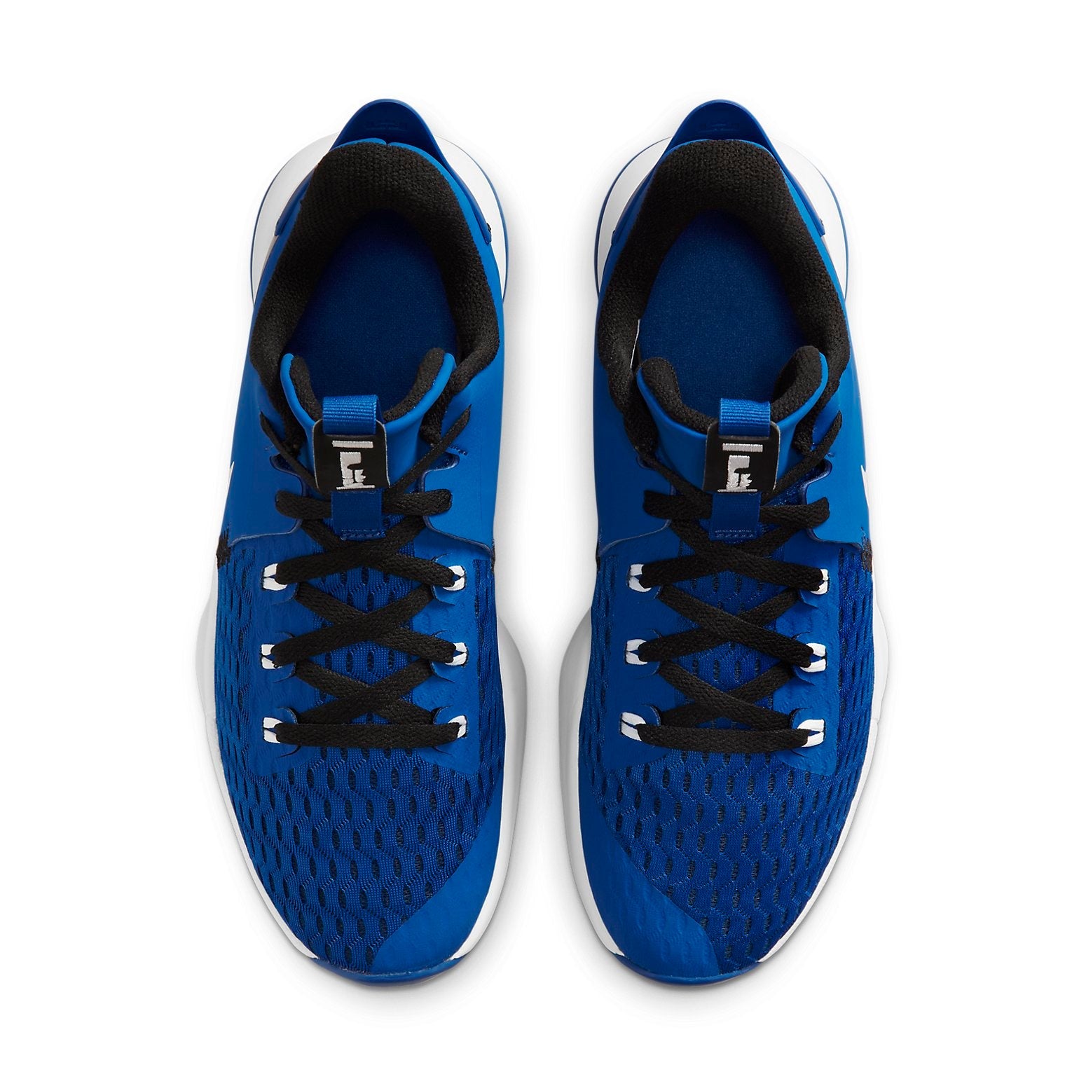 Nike LeBron Witness 5 'Game Royal' CQ9380-400