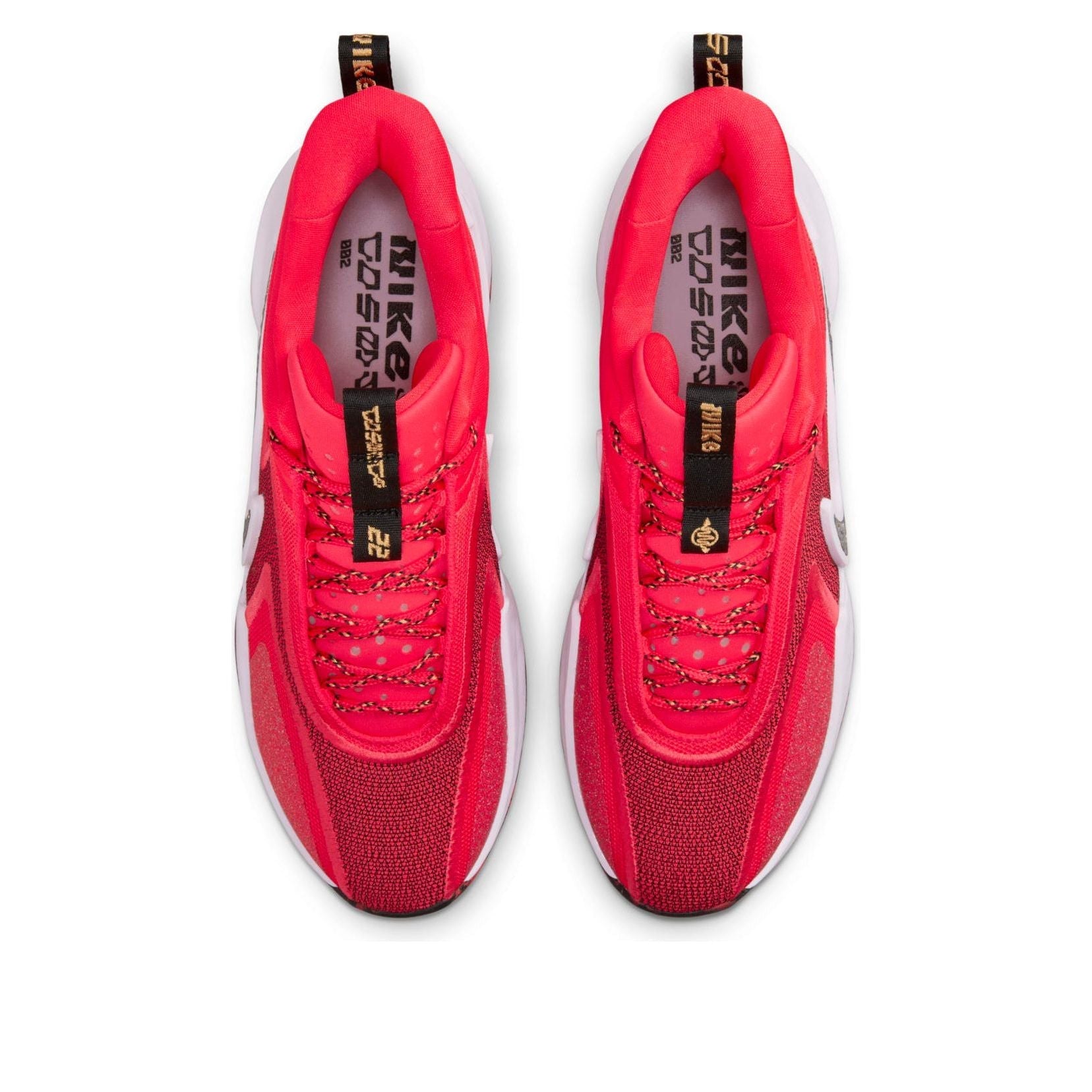 Nike x A'ja Wilson Cosmic Unity 2 'Hattie Rakes' DH1537-601