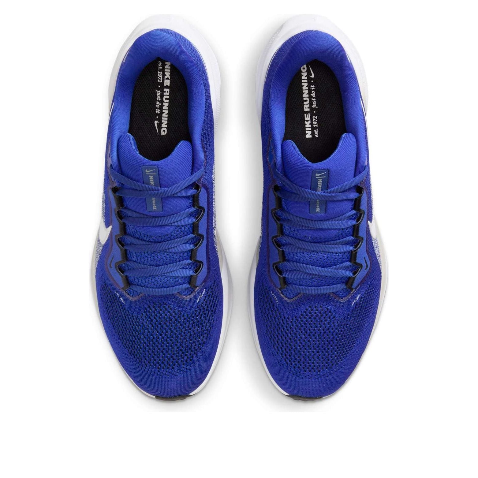Nike x NCAA Pegasus 41 'Kentucky' IB3266-400