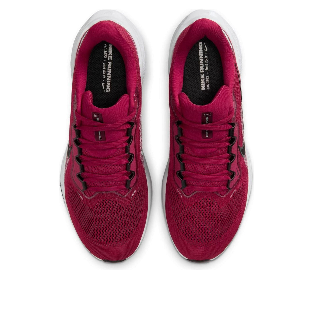 Nike x NCAA Pegasus 41 'Arkansas' IB3246-600