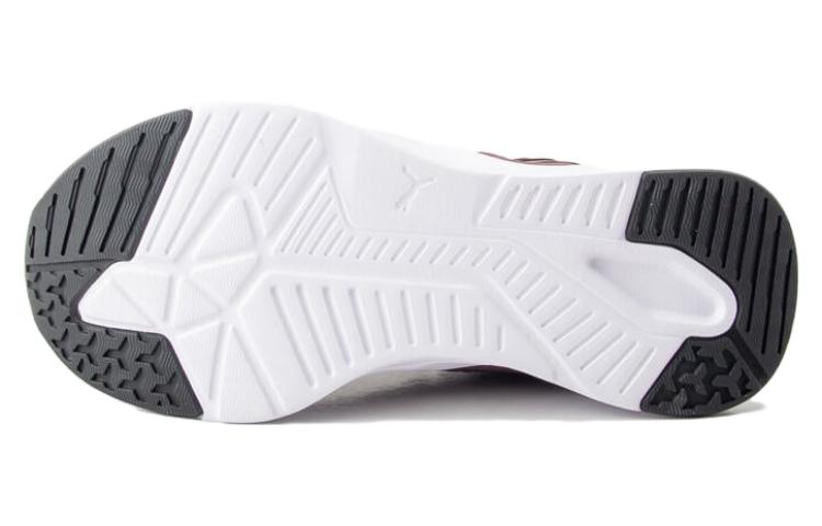 PUMA Disperse XT 2 Mesh 'Dusty Plum' 376858-08