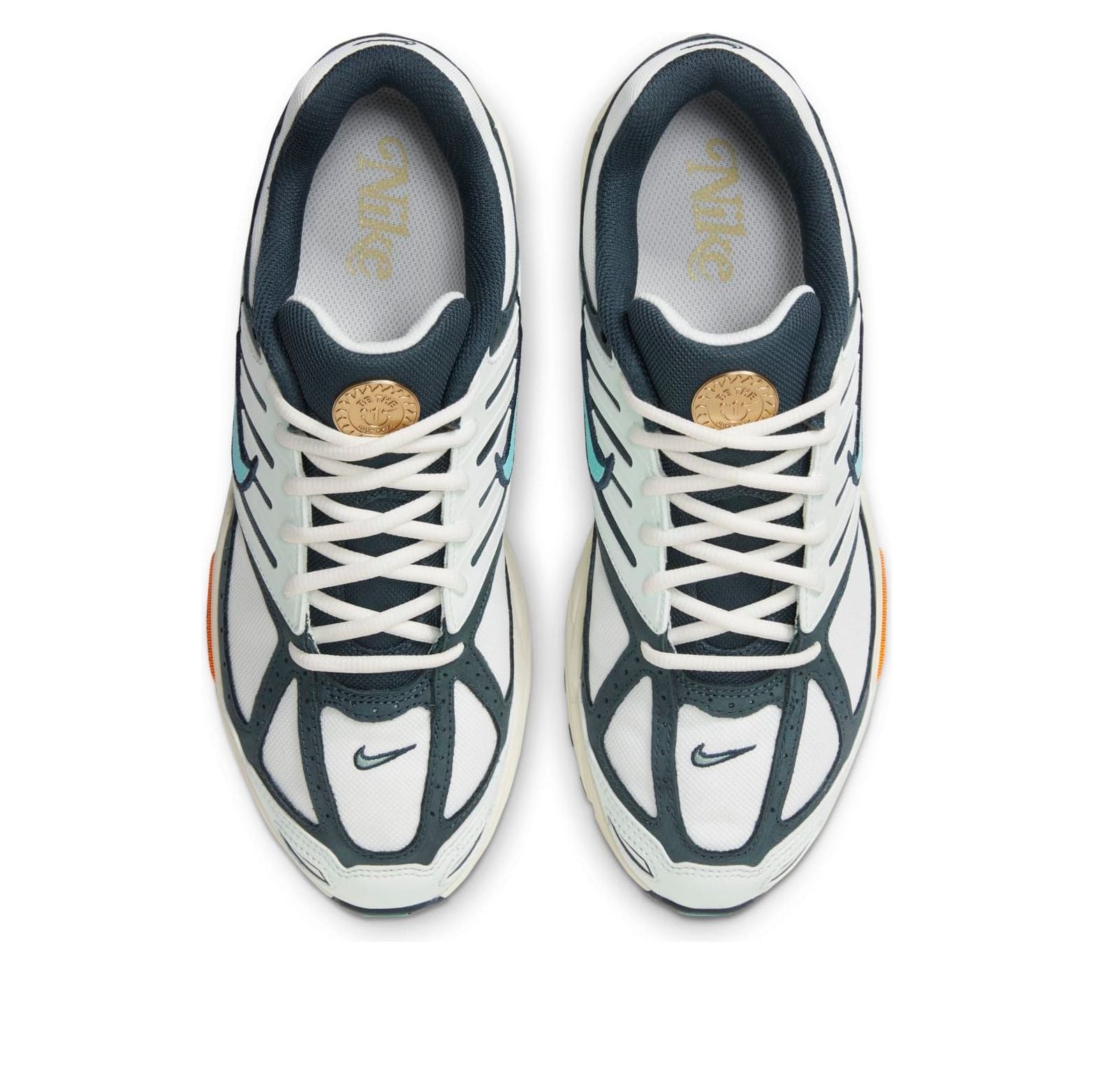 Nike Air Zoom Pegasus 2005 'Be The One' HM3727-131