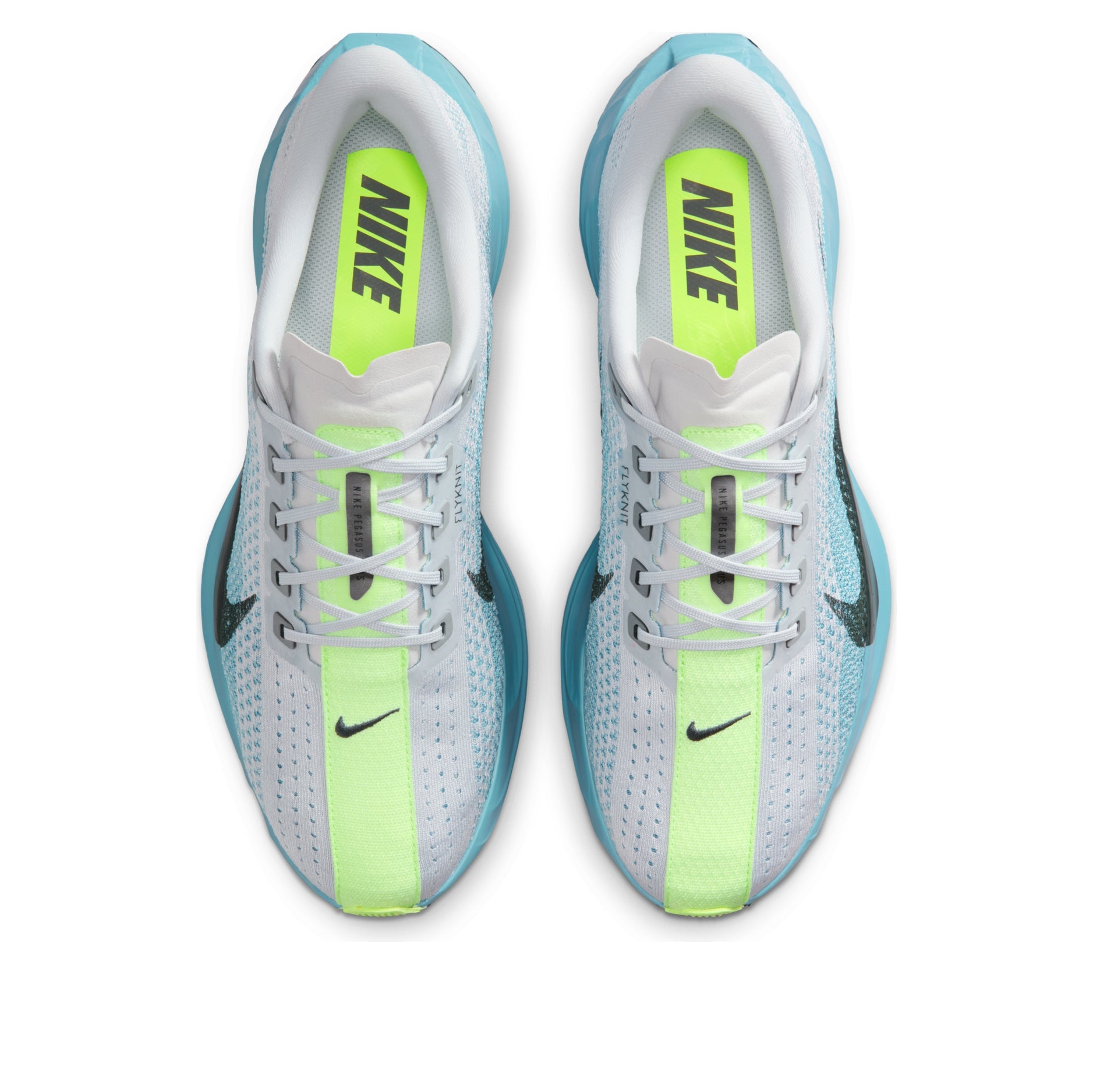 Nike Pegasus Plus 'Pure Platinum Denim Turquoise'  FQ7262-012