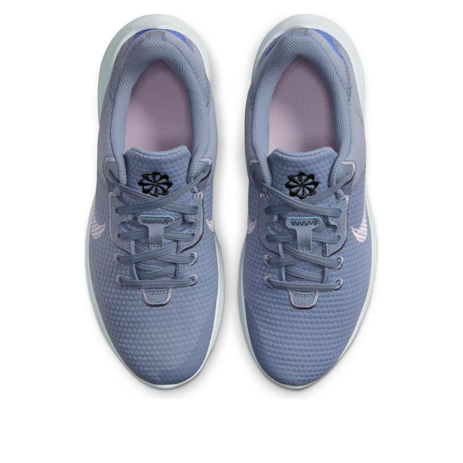 (WMNS) Nike Flex Experience Run 11 Wide 'Ashen Slate' DH8254-400