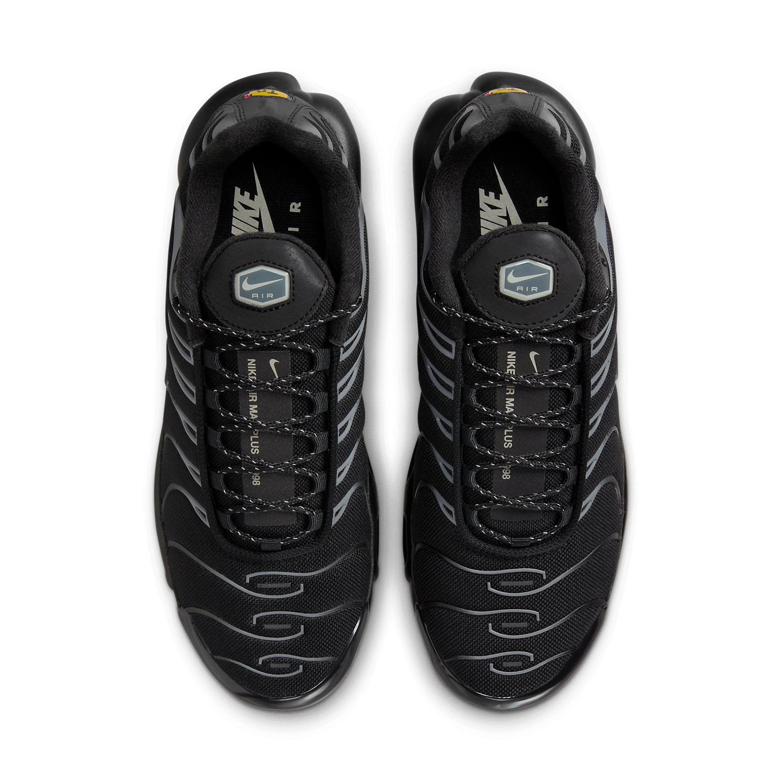 Nike Air Max Plus 'Black Gum Light Brown' FV0385-001