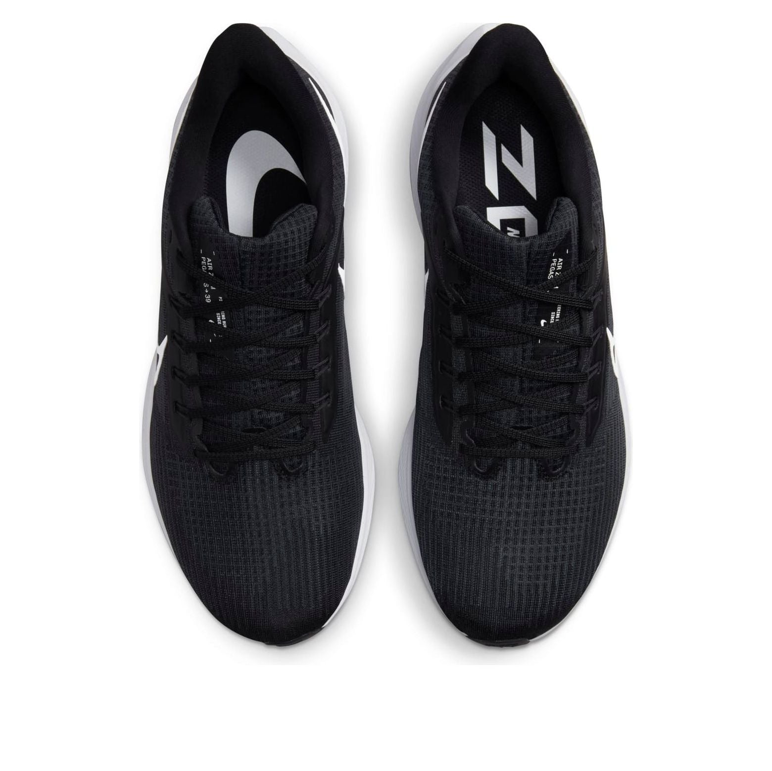 Nike Air Zoom Pegasus 39 Extra Wide 'Black Dark Smoke Grey' DM0174-001