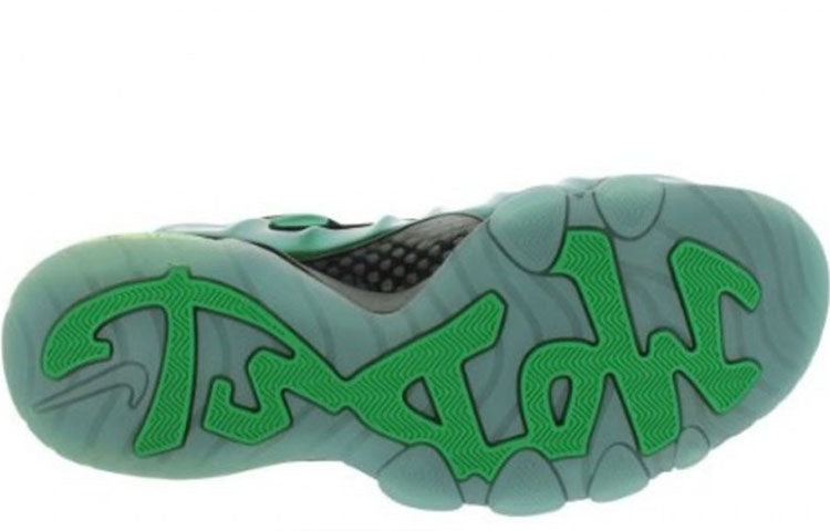 Nike Barkley Posite Max 'Gamma Green' 555097-301