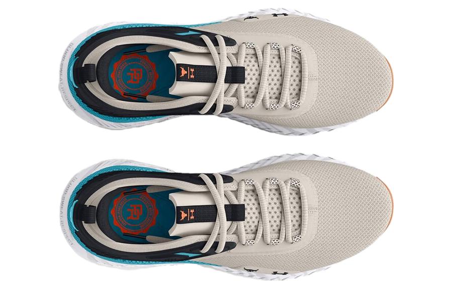 Under Armour Project Rock 5 'Grey' 3025435-103