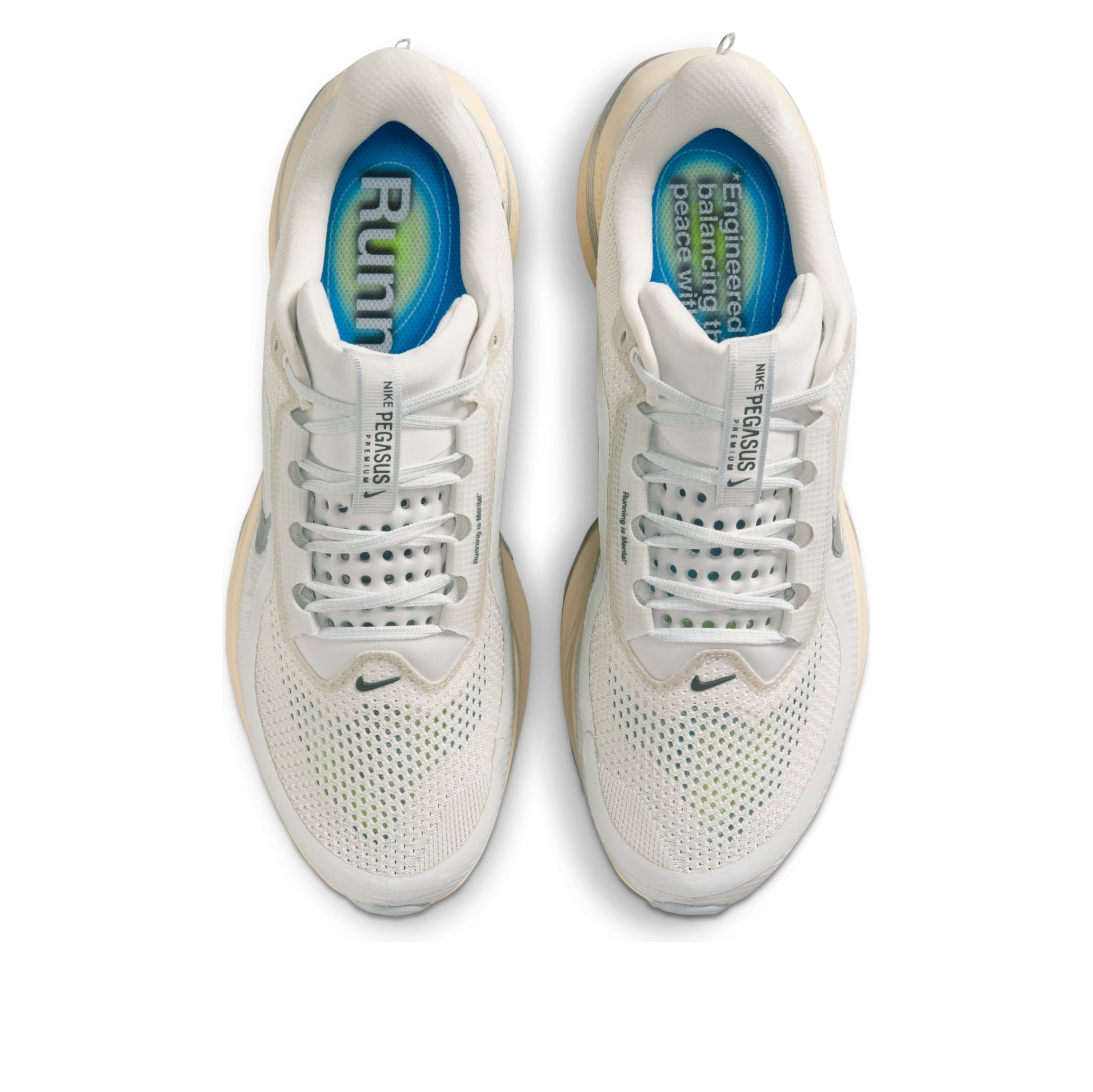 Nike Air Zoom Pegasus Premium 'Platinum Tint Grey Fog Silver' IQ0307-094