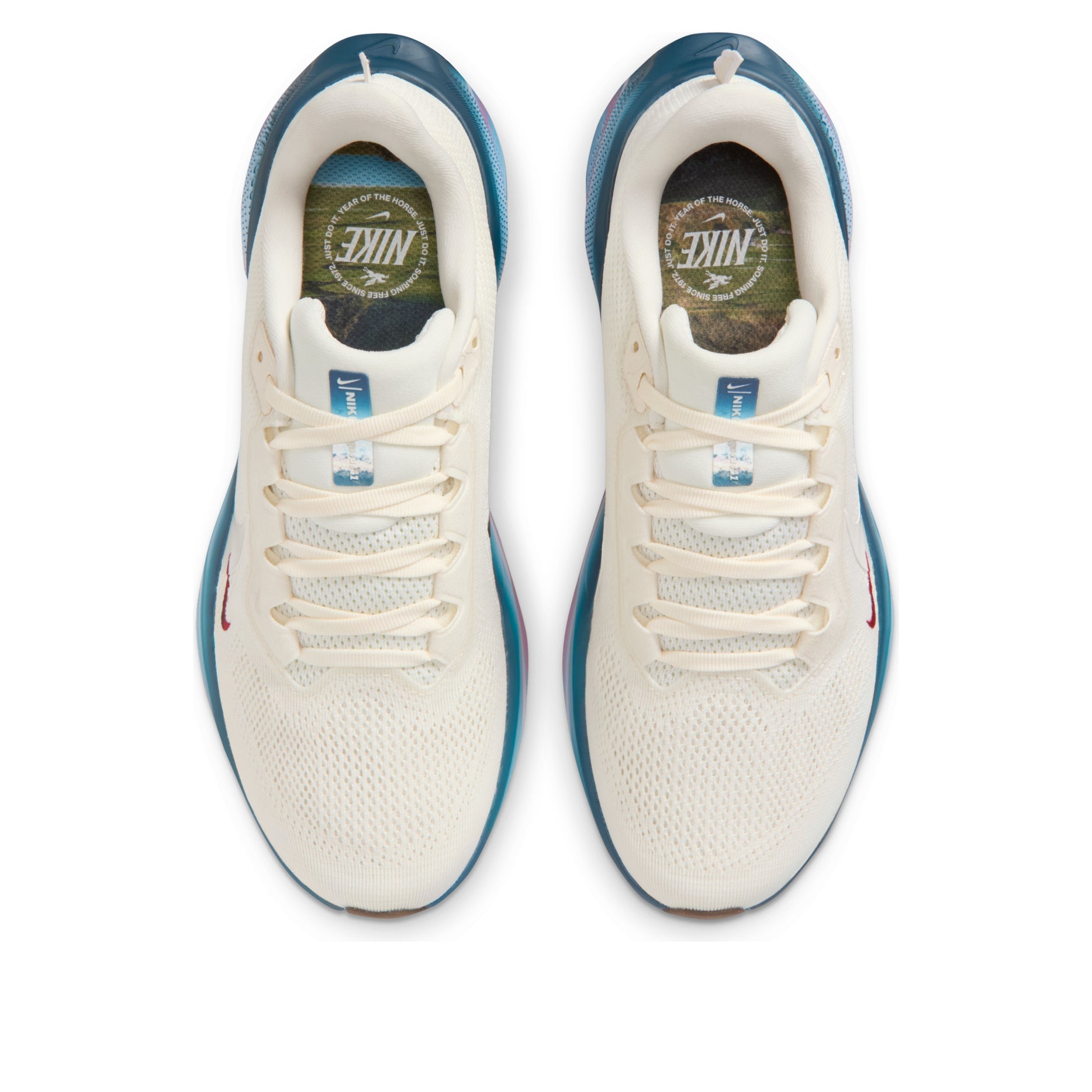 (WMNS) Nike Air Zoom Pegasus 41 'Year of the Horse' IQ1153-109