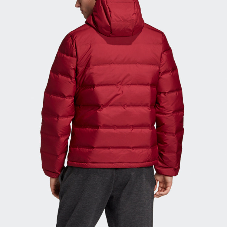 adidas Helionic Ho Jkt Outdoor Slim Fit hooded down Jacket Wine Red DZ1426