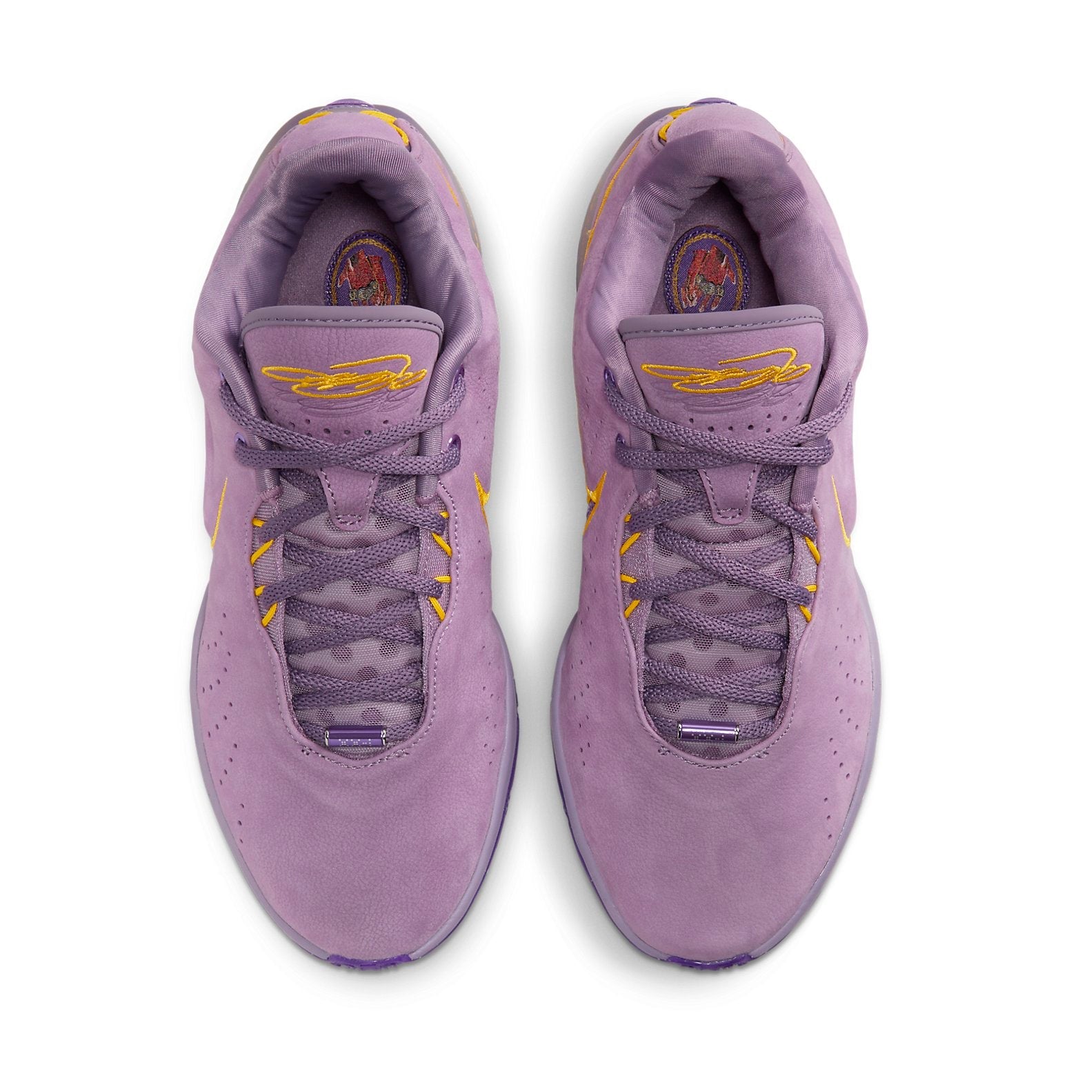 Nike LeBron 21 'Purple Rain' FV2345-500