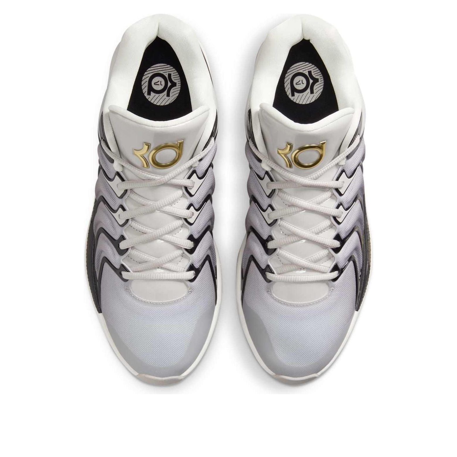 Nike KD 17 'Light Iron Ore' FJ9487-003
