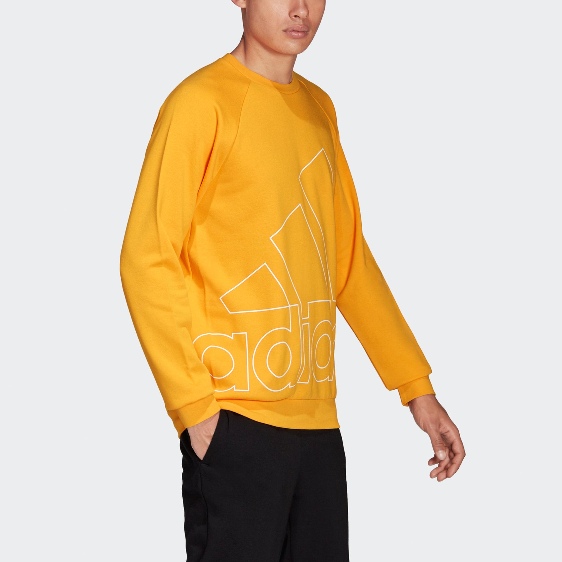 Men's adidas Big Lo Swt Ft Logo Printing Casual Sports Round Neck Yellow HB5088