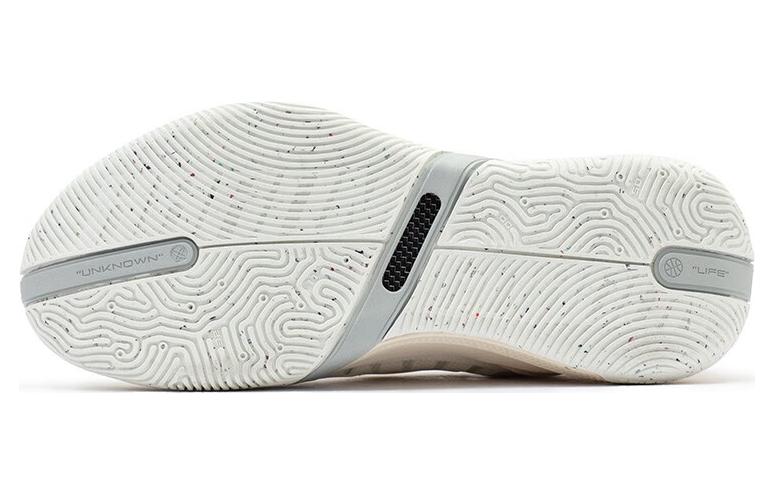 361 Degrees AG3 Pro Low Aaron Gordon 'M1RO' 672311116FM1RO