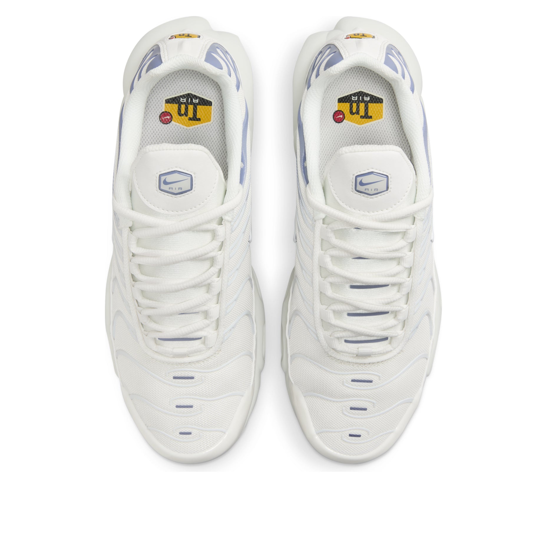 (WMNS) Nike Air Max Plus 'Ashen Slate' DZ3671-104