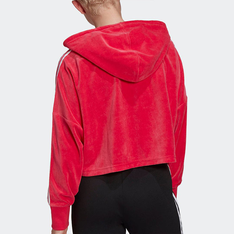 (WMNS) adidas originals Cropped Hoodie 'Red' GI7622