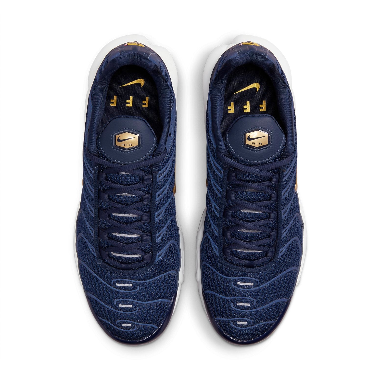 Nike Air Max Plus 'French Football Federation' FB3350-400