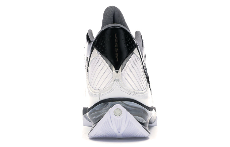 Air Jordan 2009 'White Metallic Silver' 343084-161
