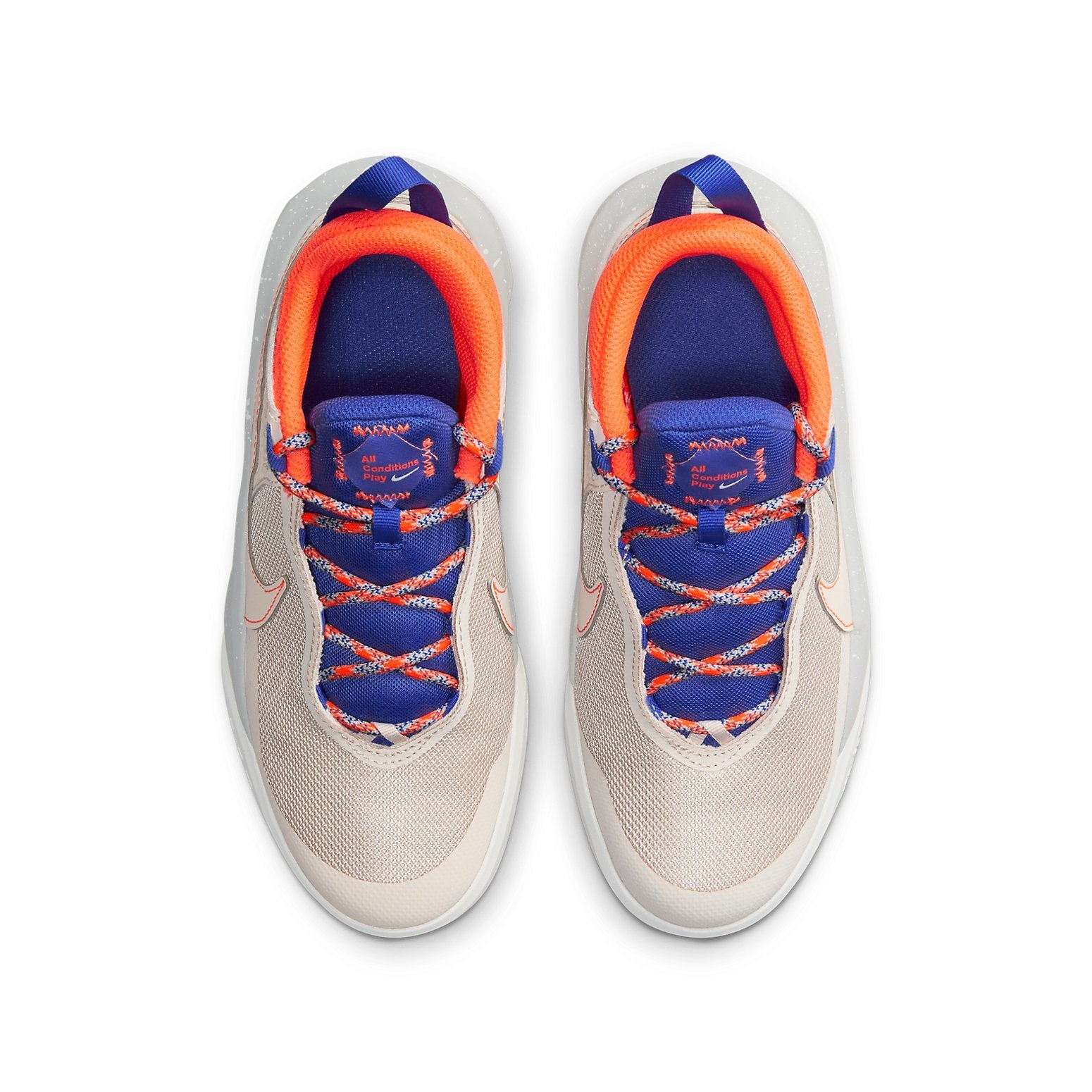 (GS) Nike Team Hustle D10 SE 'Desert Sand' CZ4179-001