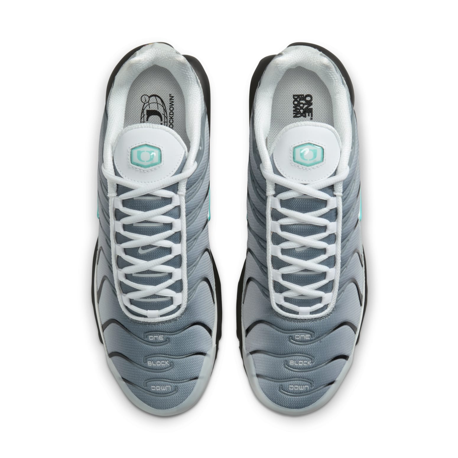 Nike x One Block Down Air Max Plus 'Clear Fog' FZ3308-001