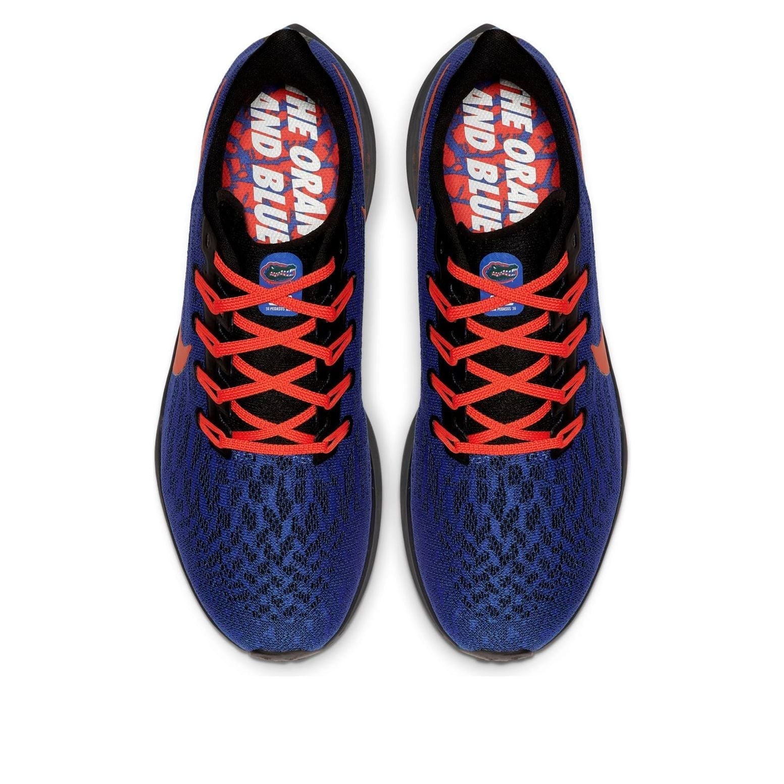 Nike Air Zoom Pegasus 36 'Florida Gators' CI2066-400