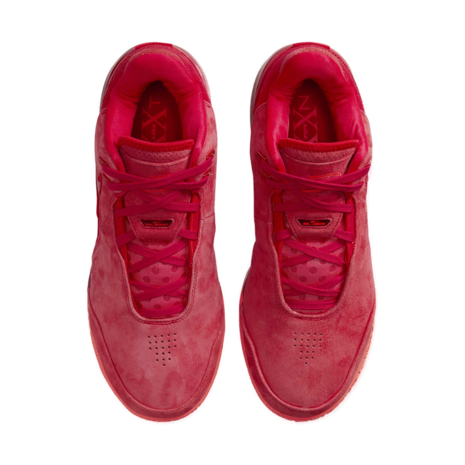 Nike Zoom LeBron NXXT Gen EP 'James Gang' FJ1567-600