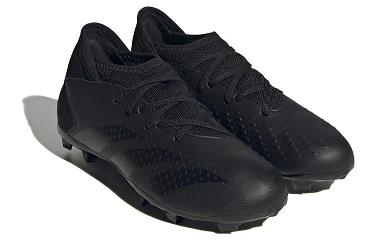 (GS) adidas Predator Accuracy.3 FG 'Black' GW4610