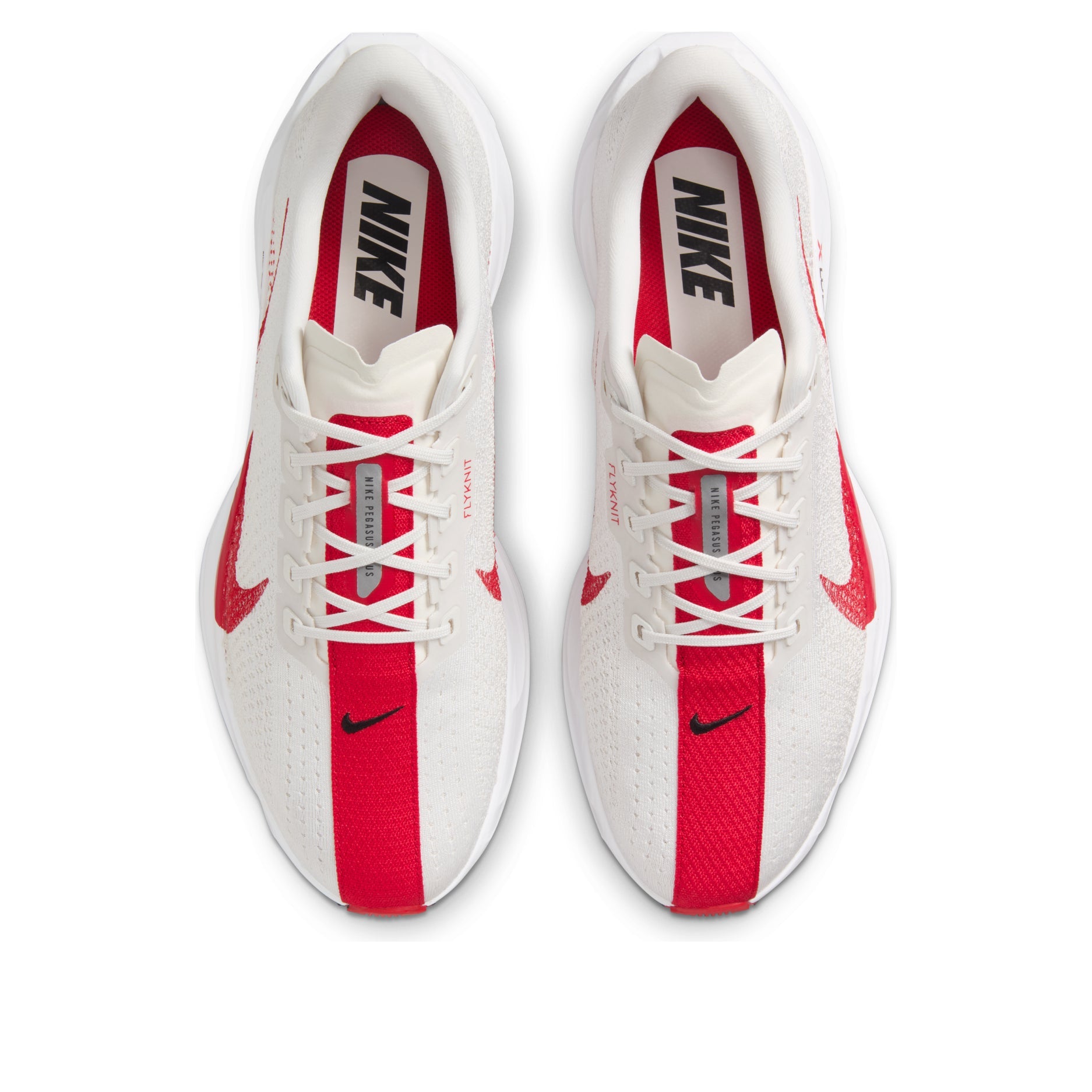 Nike Air Zoom Pegasus Plus 'Platinum Tint University Red' FQ7262-003