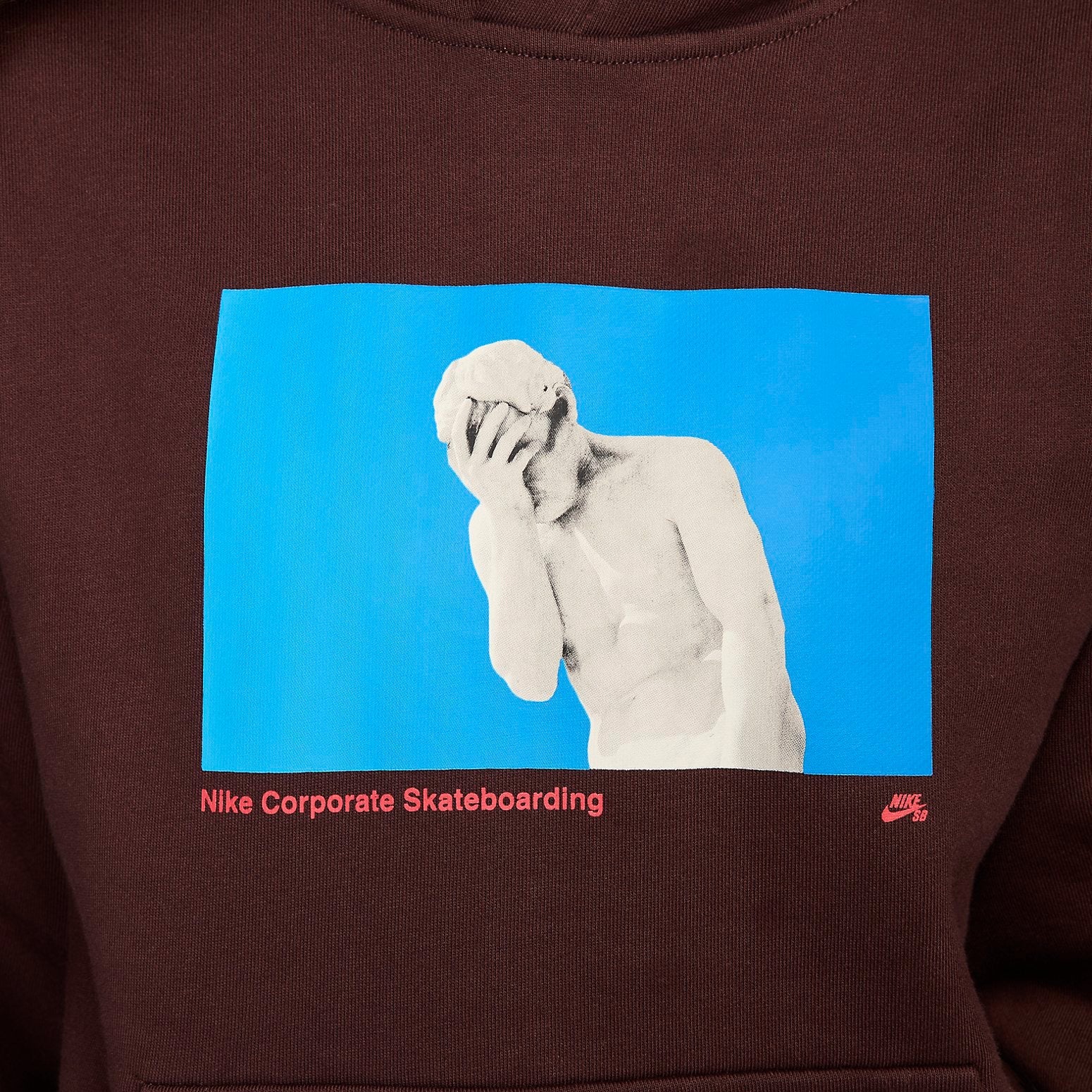 Nike SB Fleece Pullover Skate Hoodie 'Earth' FN2556-227