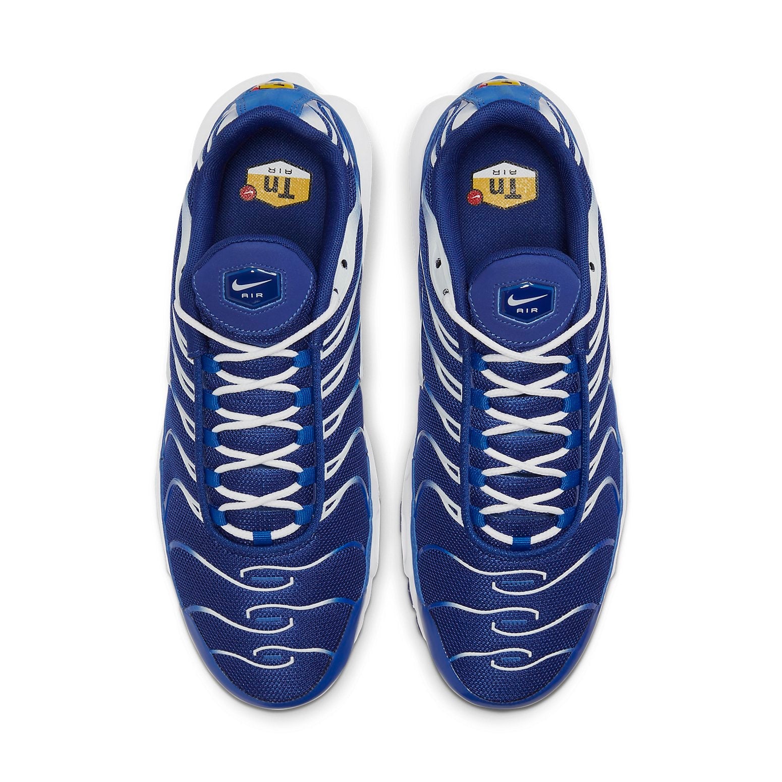 Nike Air Max Plus 'Arctic Chill' CW7024-400