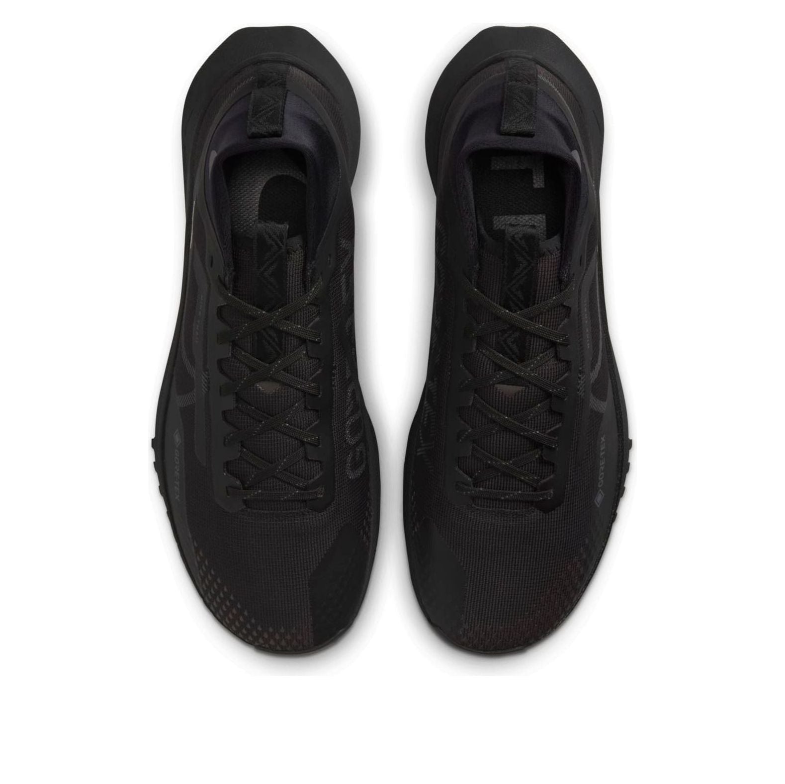 Nike Pegasus Trail 4 GTX V2 'Black Dark Grey' HM9728-002
