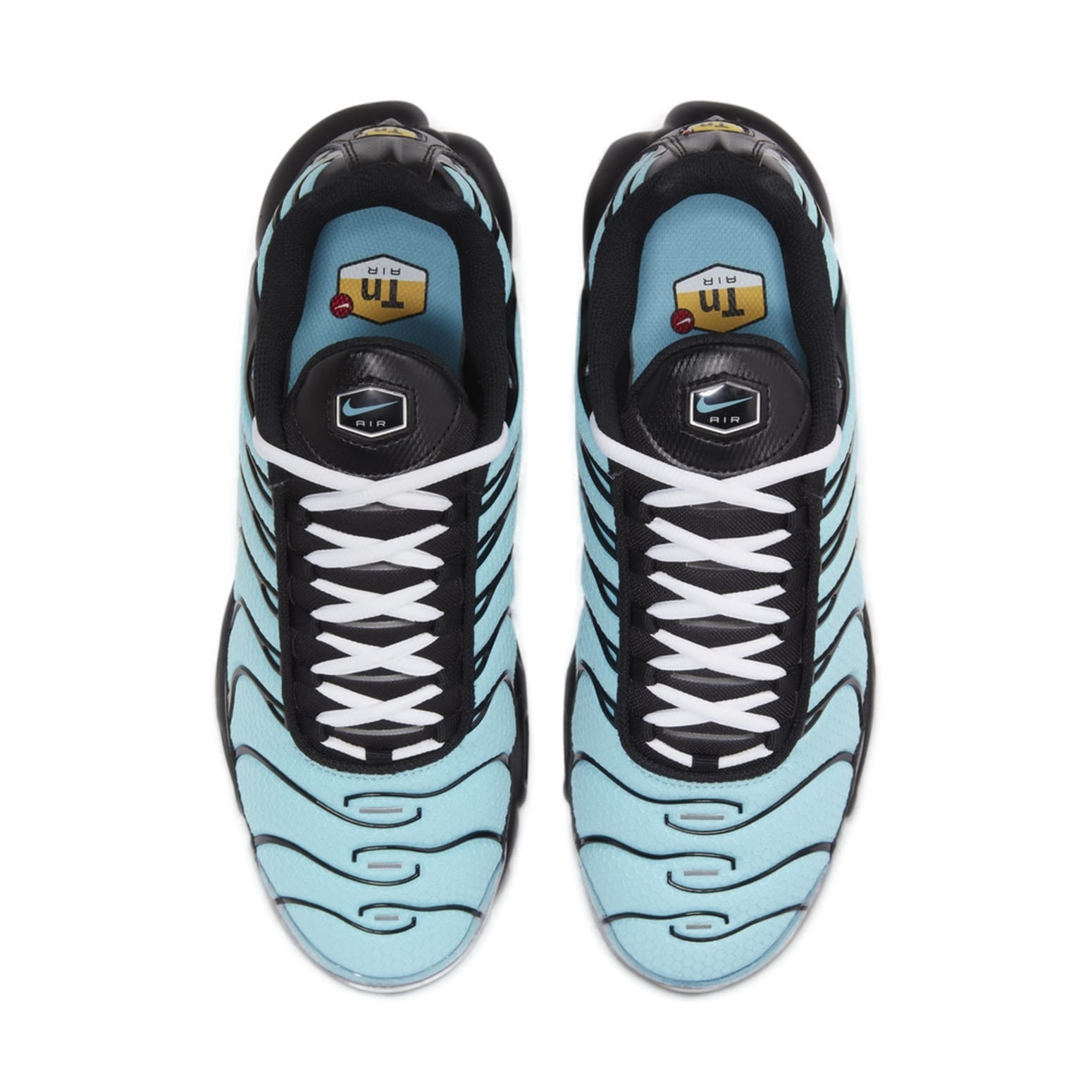 Nike Air Max Plus 'Aqua Silver' CV8838-400