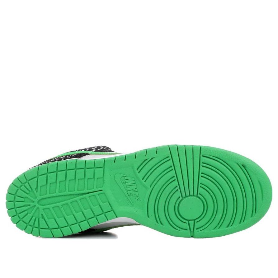 Nike SB Dunk Low Premium 'Loon' 313170-011