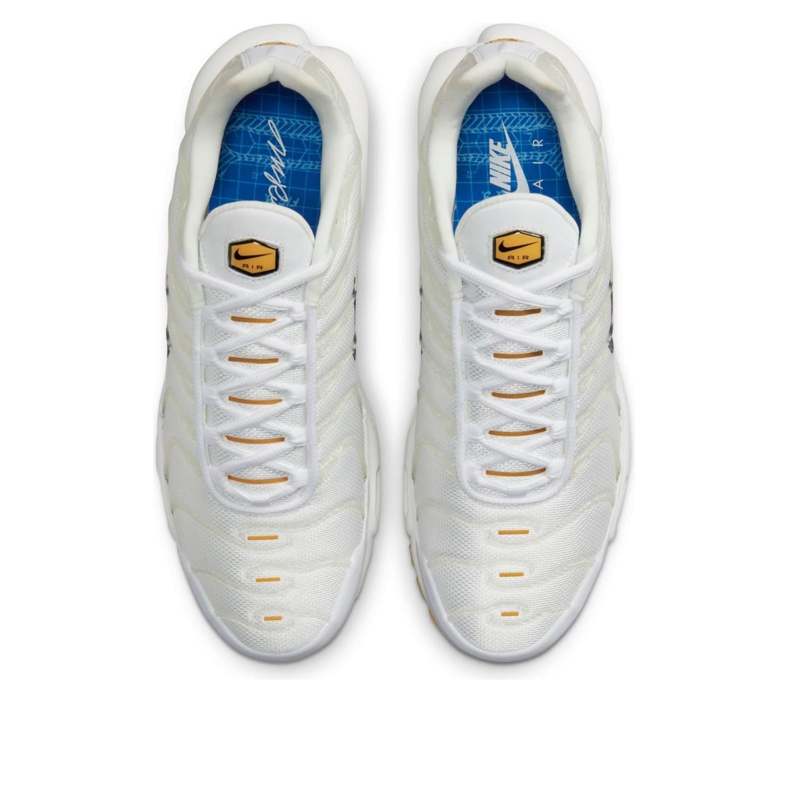 Nike Air Max Plus SE 'Frank Rudy' DQ8960-100