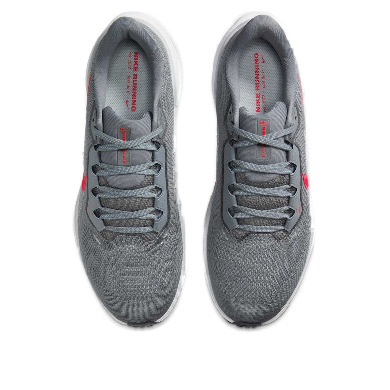 Nike Air Zoom Pegasus 41 'Cool Grey Bright Crimson' FD2722-013