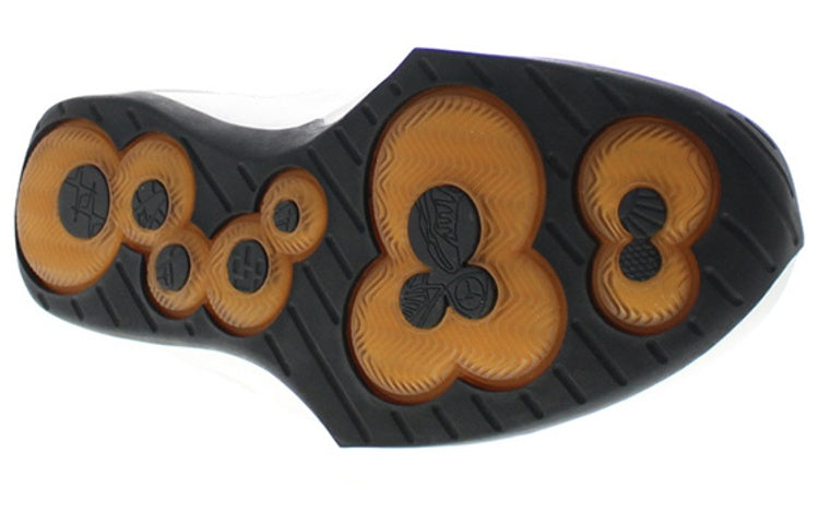 Air Jordan 20 OG 'East Coast' 310455-711
