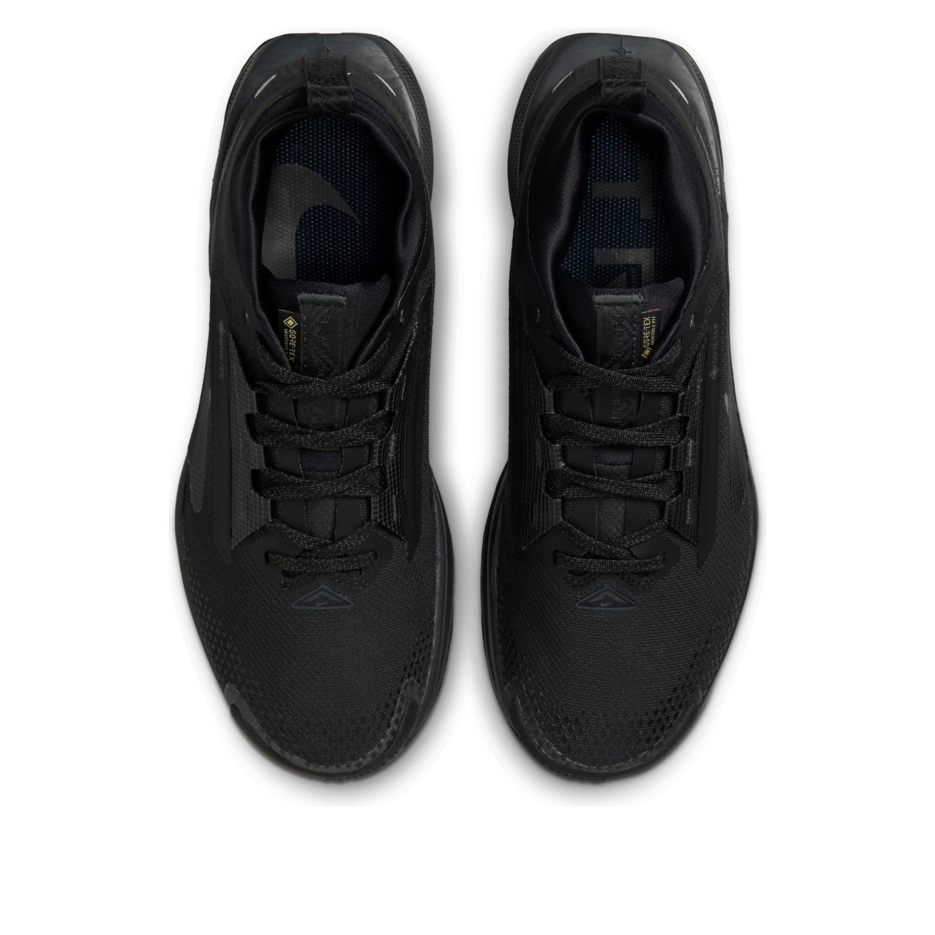 (WMNS) Nike Pegasus Trail 5 Gore-Tex 'Black Anthracite' FQ0912-002